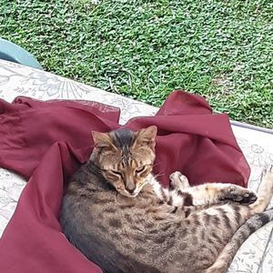 Meet your Posher, Mike